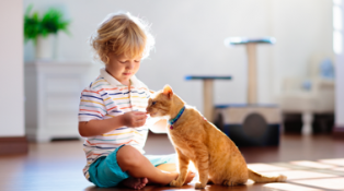 A boy sits cross-legged on the floor and gives a cat a treat.